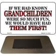 Grandchildren Novelty Metal Magnet M-272