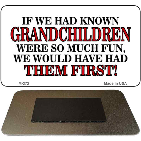 Grandchildren Novelty Metal Magnet M-272