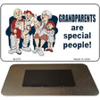 Grandparents Are Special Novelty Metal Magnet M-275