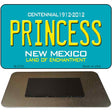 Princess New Mexico Novelty Magnet M-2783