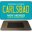 Carlsbad New Mexico Novelty Magnet M-2791