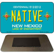 Native New Mexico Novelty Magnet M-2794