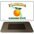 Florida State Blank Novelty Metal Magnet M-4279