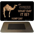 It Is Hump Day Novelty Metal Magnet M-5141