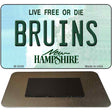 Bruins New Hampshire State License Plate Tag Magnet M-5436