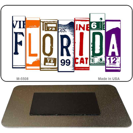 Florida License Plate Tag Art Novelty Metal Magnet