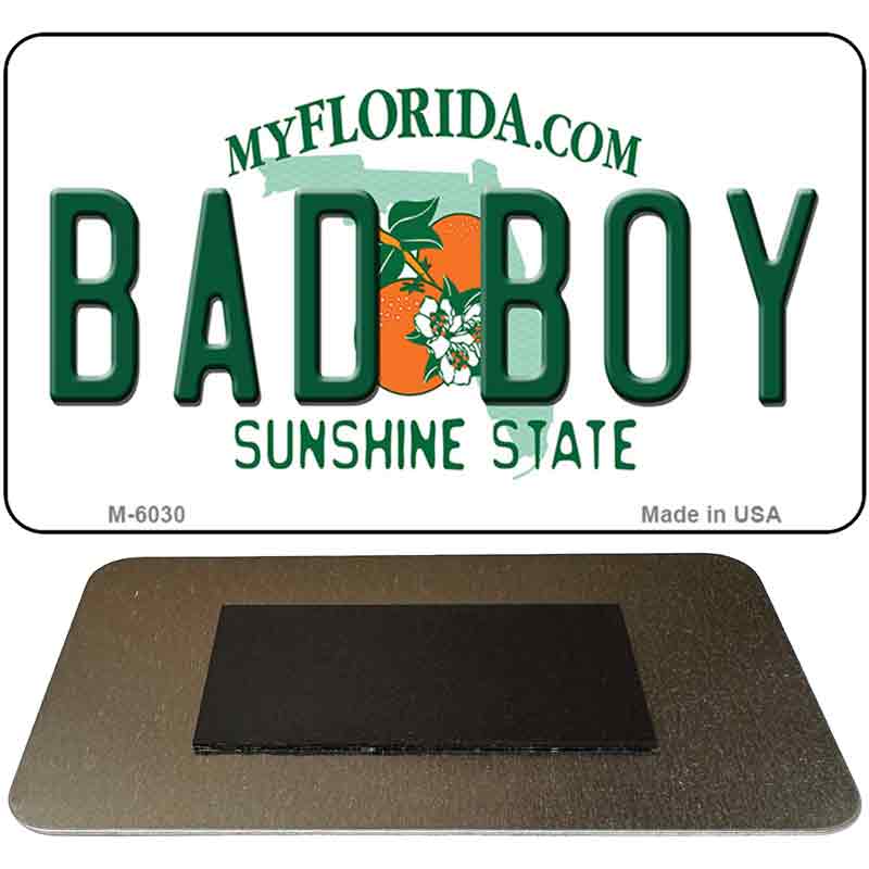 Bad Boy Florida State License Plate Tag Magnet M-6030