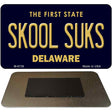 Skool Suks Delaware State License Plate Tag Magnet M-6738