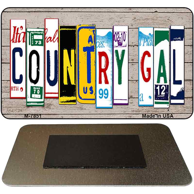 Gal Plate Art Novelty Metal Magnet M-7851