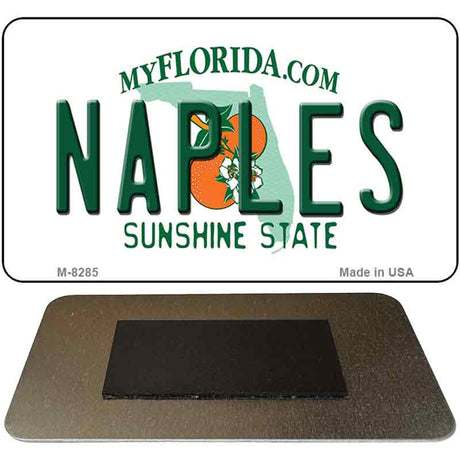 Naples Florida State License Plate Tag Magnet M-8285