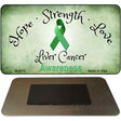 Liver Cancer Ribbon Novelty Metal Magnet M-8312