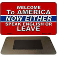 Speak English Or Leave Novelty Metal Magnet M-8801