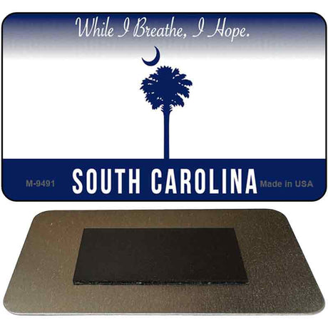 South Carolina State Blank Novelty Metal Magnet M-9491