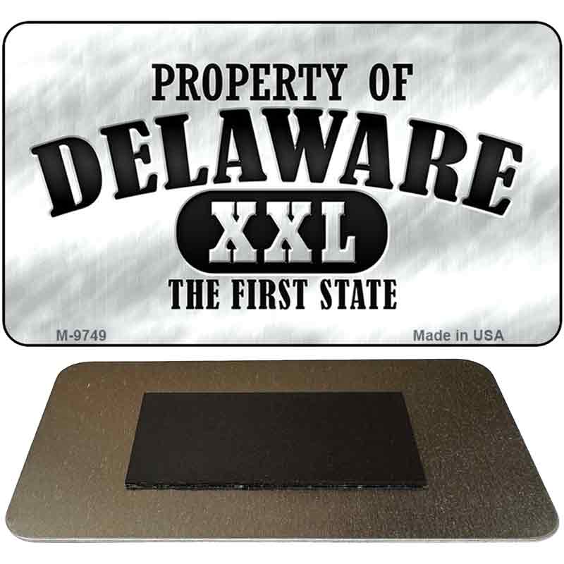 Property Of Delaware Novelty Metal Magnet M-9749