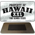 Property Of Hawaii Novelty Metal Magnet M-9752