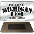 Property Of Michigan Novelty Metal Magnet M-9763