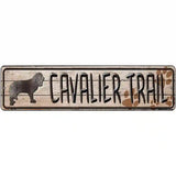 Cavalier Trail Novelty Metal Street Sign 12" x 3" (MK)