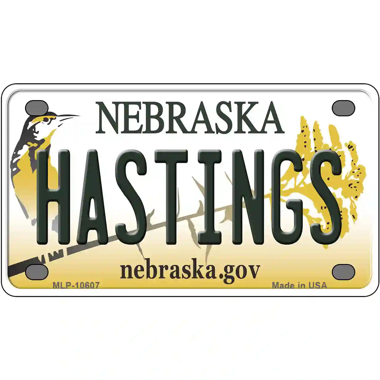 Hastings Nebraska Metal Novelty License Plate 4" x 2.2" (MLP)