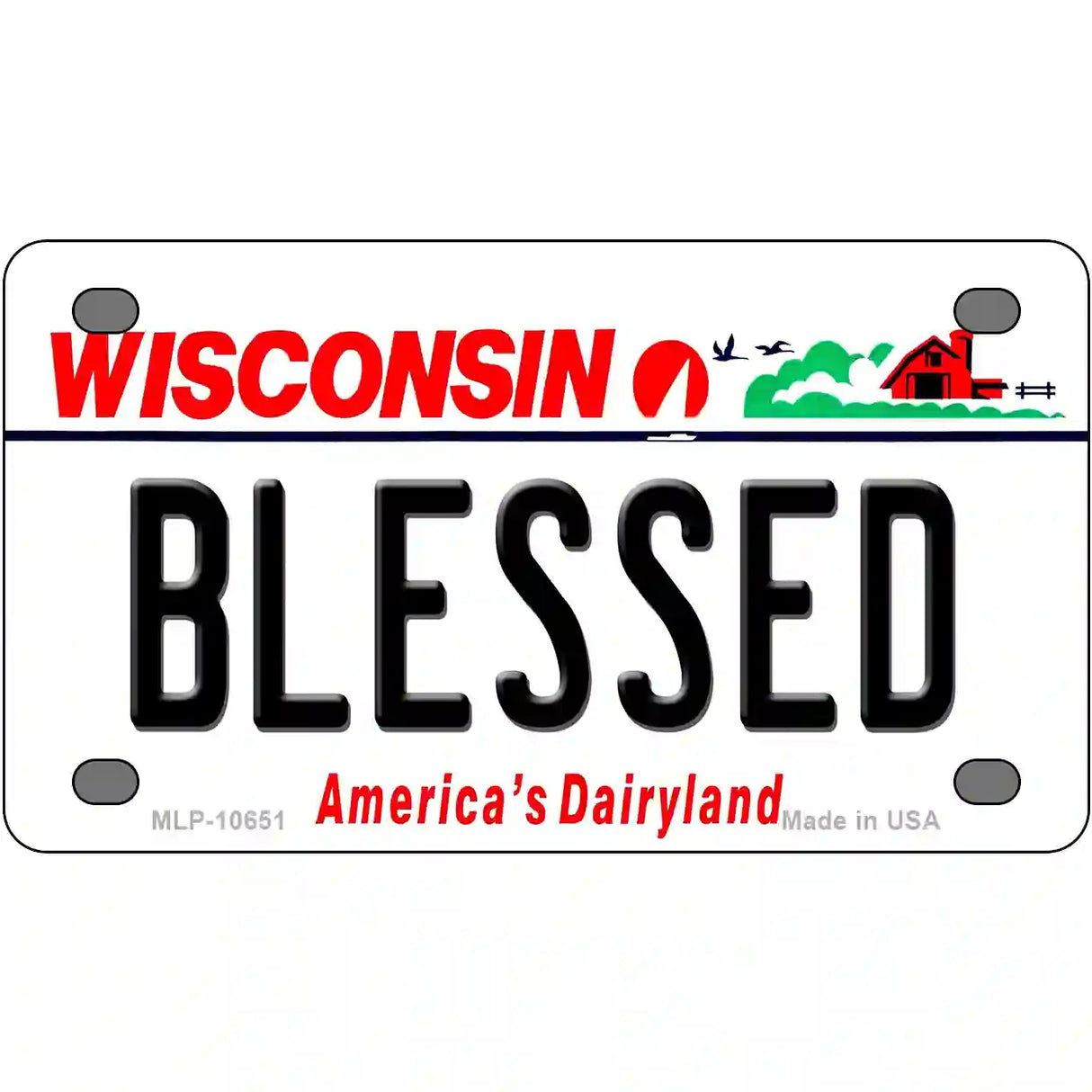 Blessed Wisconsin Metal Novelty License Plate 4" x 2.2" (MLP)