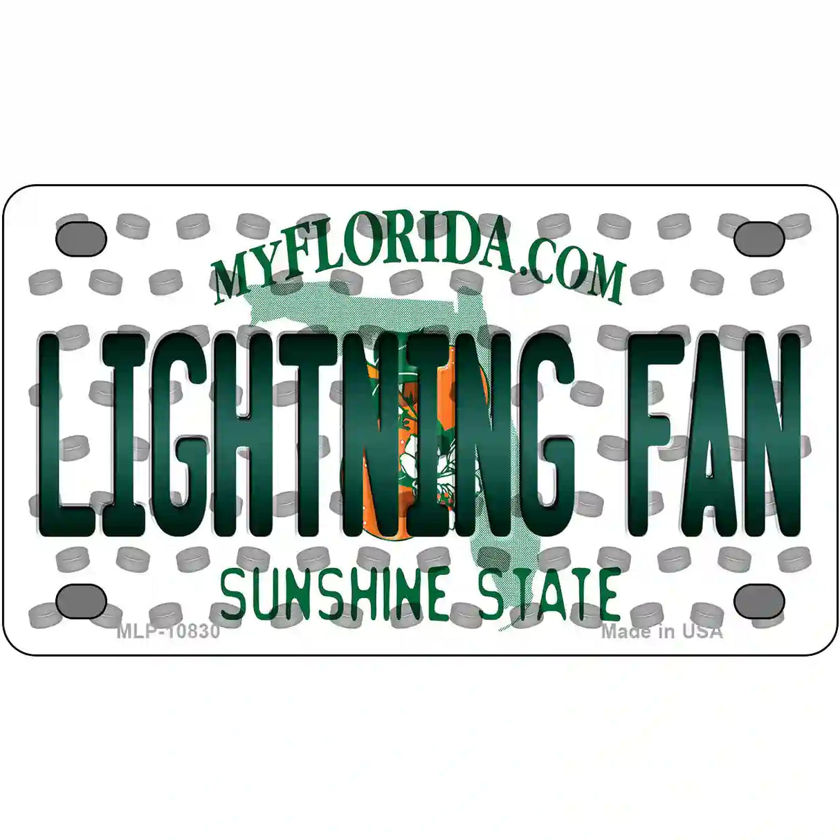 Lightning Fan Florida Novelty Metal License Plate 4" x 2.2" (MLP)