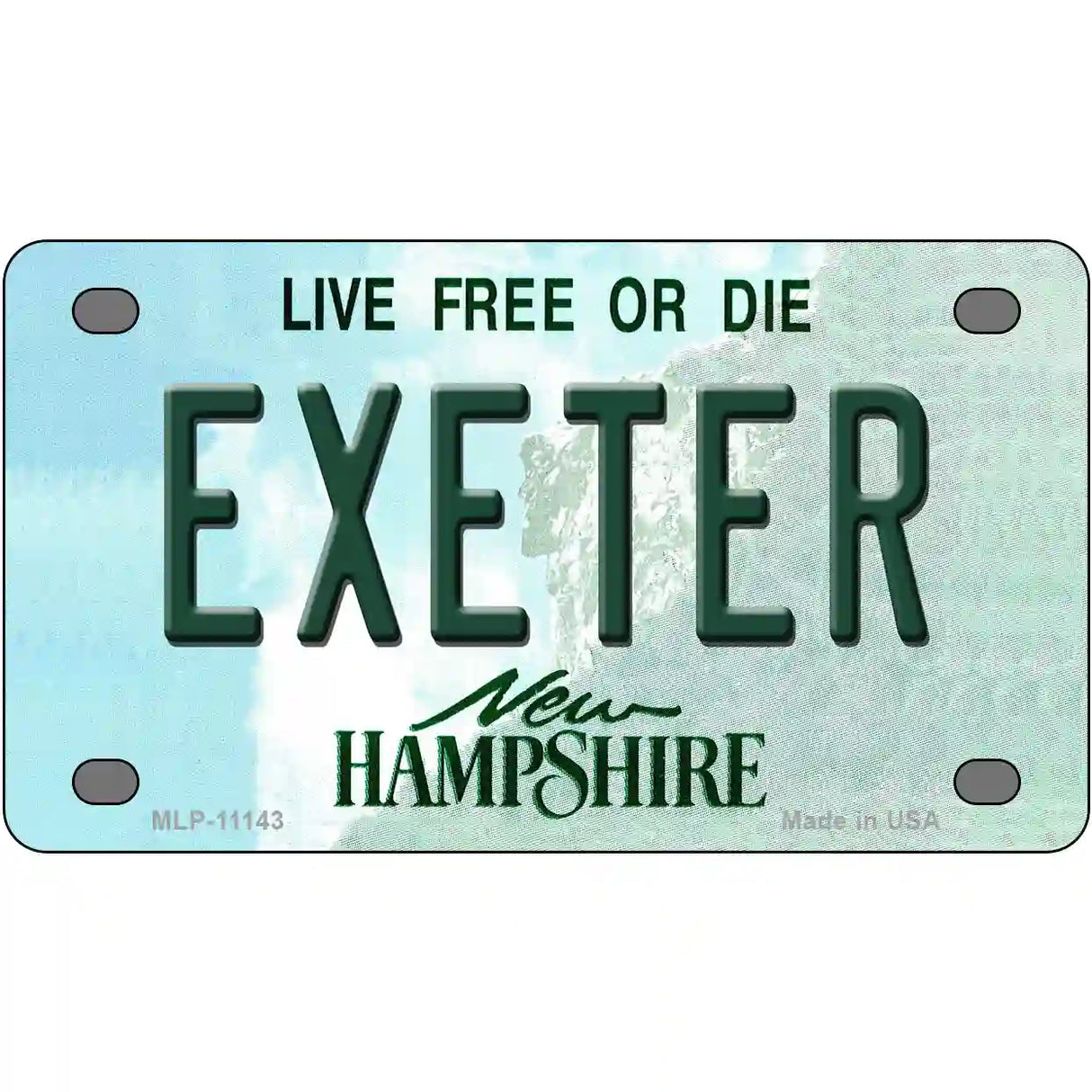 Exeter New Hampshire State License Plate 4" x 2.2" (MLP)