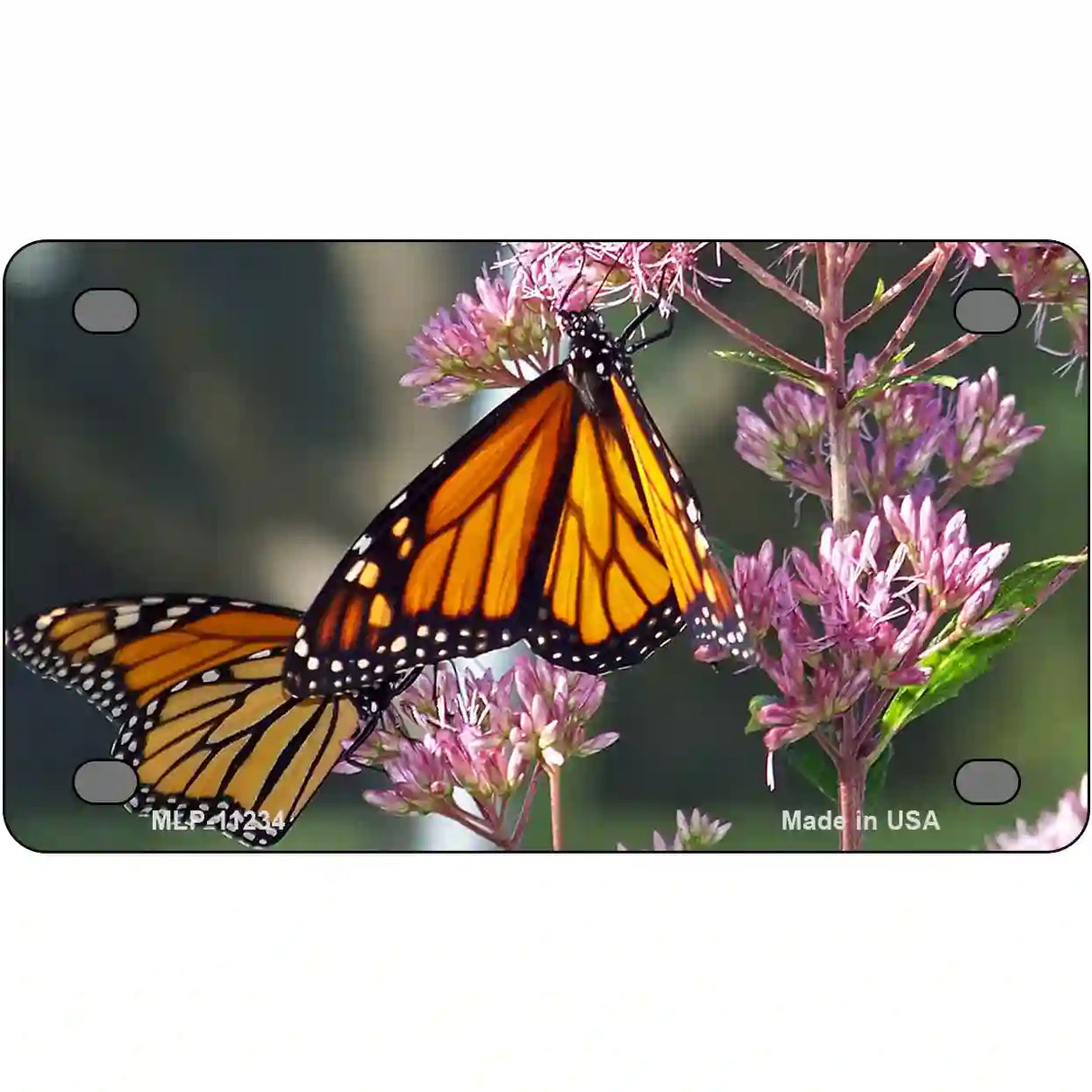 Butterfly Monarch On Flower Novelty Metal License Plate 4" x 2.2" (MLP)