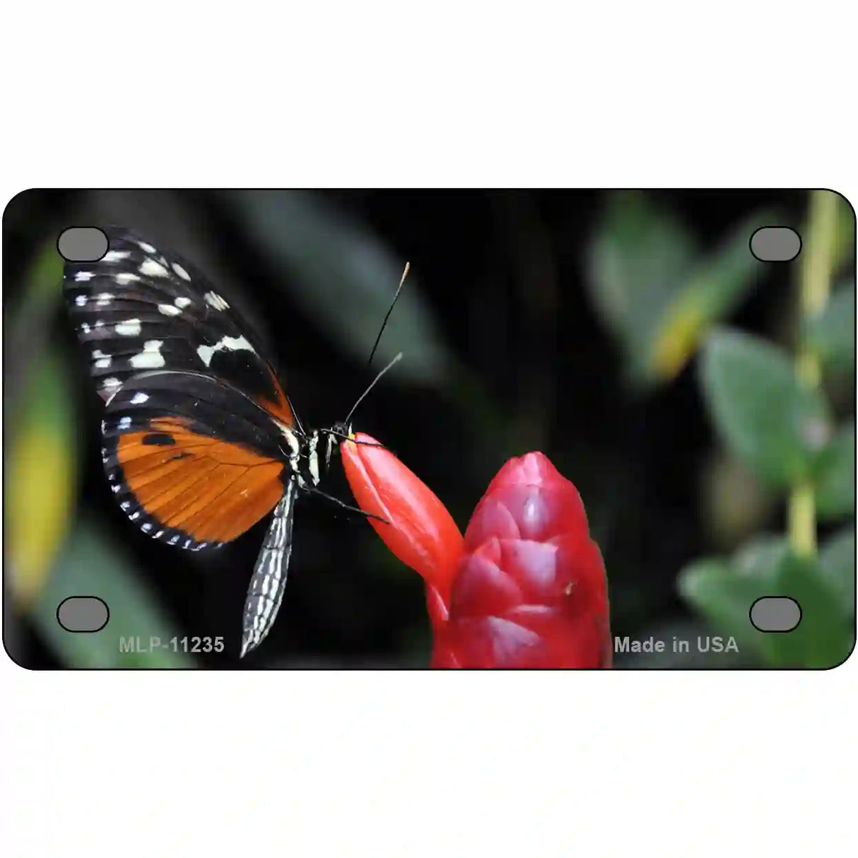 Butterfly On Red Flower Novelty Metal License Plate 4" x 2.2" (MLP)