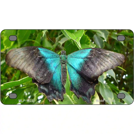 Butterfly Blue and Black Novelty Metal License Plate 4" x 2.2" (MLP)