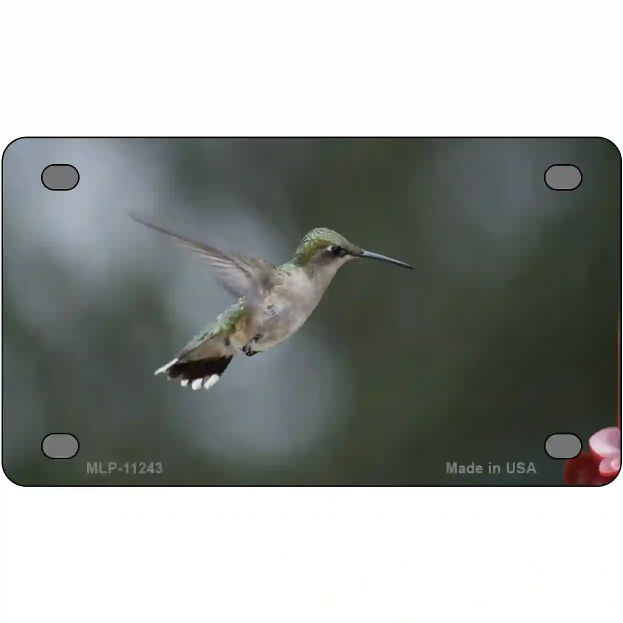 Hummingbird In Flight Novelty Metal License Plate 4" x 2.2" (MLP)