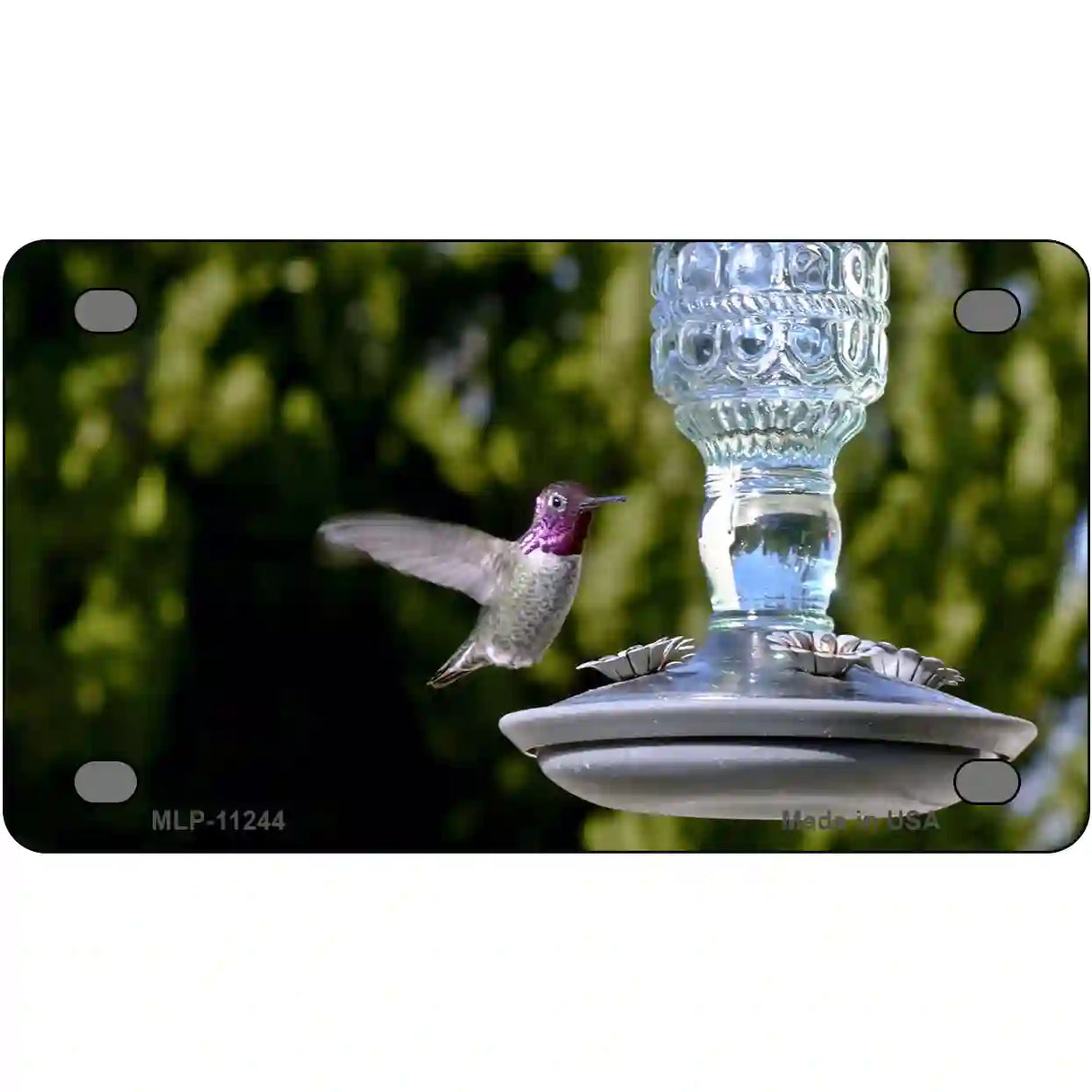 Hummingbird At Feeder Novelty Metal License Plate 4" x 2.2" (MLP)