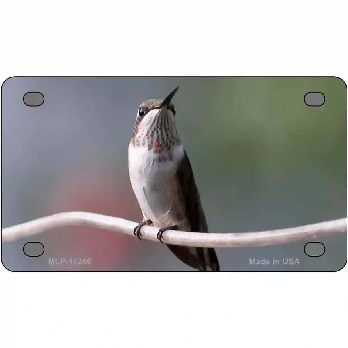 Hummingbird Perched On Branch Novelty Metal License Plate 4" x 2.2" (MLP)