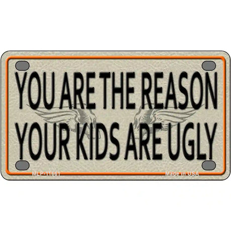 You Are The Reason Novelty License Plate 4" x 2.2" (MLP)