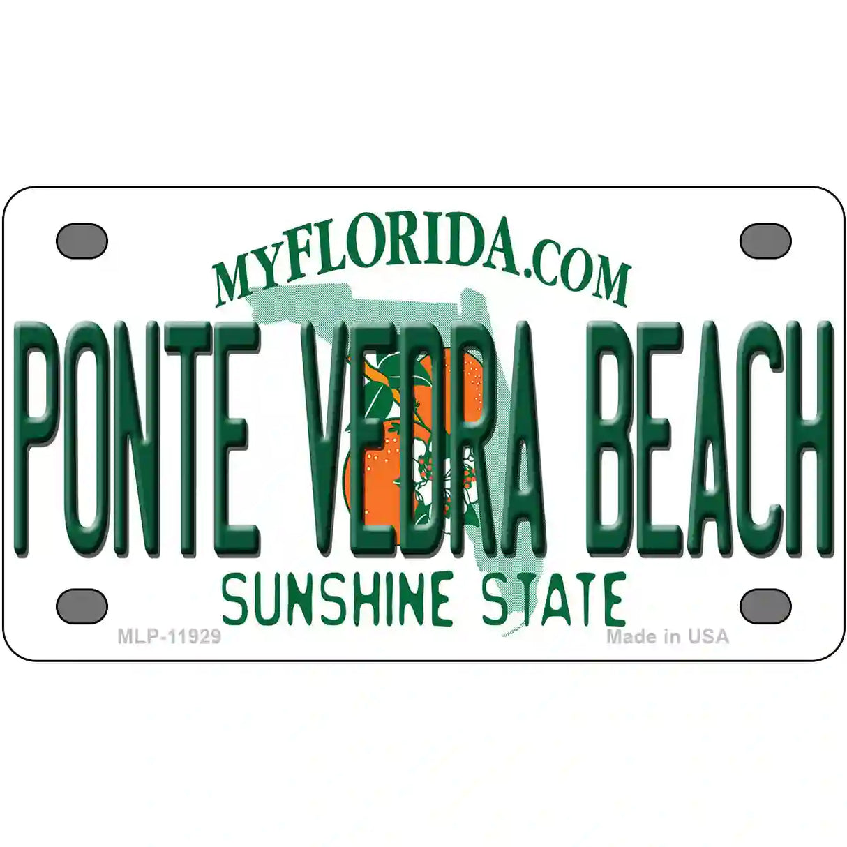 Florida Ponte Vedra Beach Novelty Metal License Plate 4" x 2.2" (MLP)