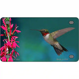 Humming Bird Novelty Metal License Plate 4" x 2.2" (MLP)