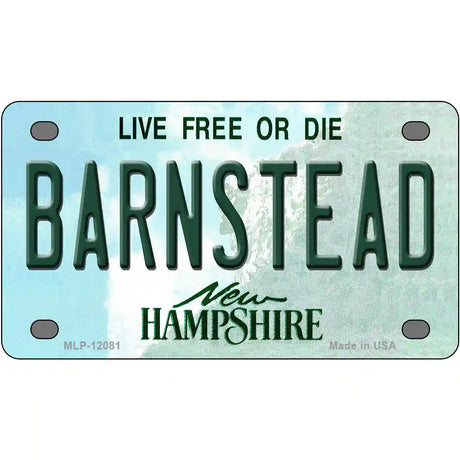 Barnstead New Hampshire State Novelty Metal License Plate 4" x 2.2" (MLP)