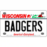 Badgers Wisconsin Novelty Metal License Plate 4" x 2.2" (MLP)