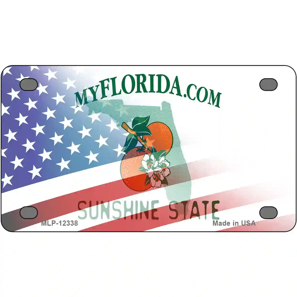 Florida with American Flag Novelty Metal License Plate 4" x 2.2" (MLP)