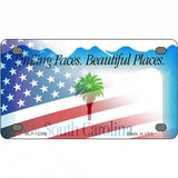 South Carolina with American Flag Novelty Metal License Plate 4" x 2.2" (MLP)