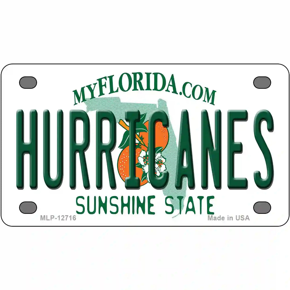 Hurricanes Novelty Metal License Plate 4" x 2.2" (MLP)