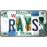 Rays Strip Art Novelty Metal License Plate Tag 4" x 2.2" (MLP)