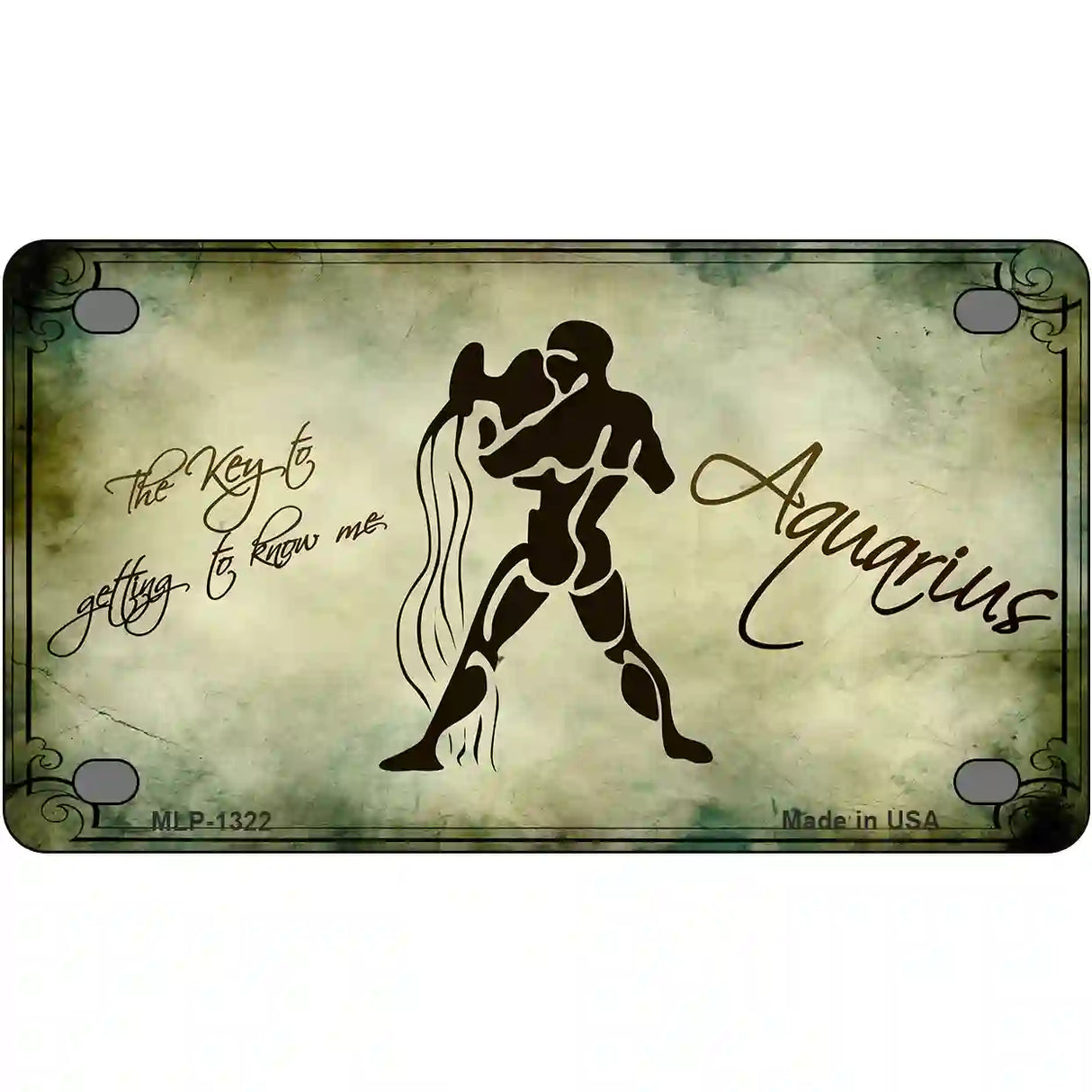 Aquarius Zodiac Novelty Metal License Plate 4" x 2.2" (MLP)