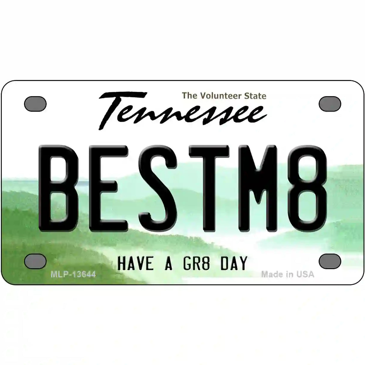 Best Mate Novelty Metal License Plate Tag 4" x 2.2" (MLP)