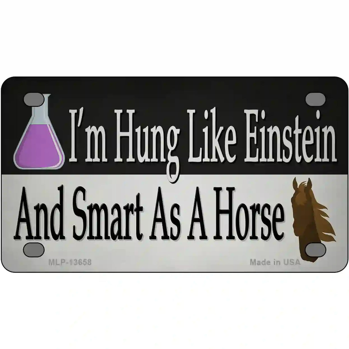 Hung Like Einstein Novelty Metal License Plate Tag 4" x 2.2" (MLP)