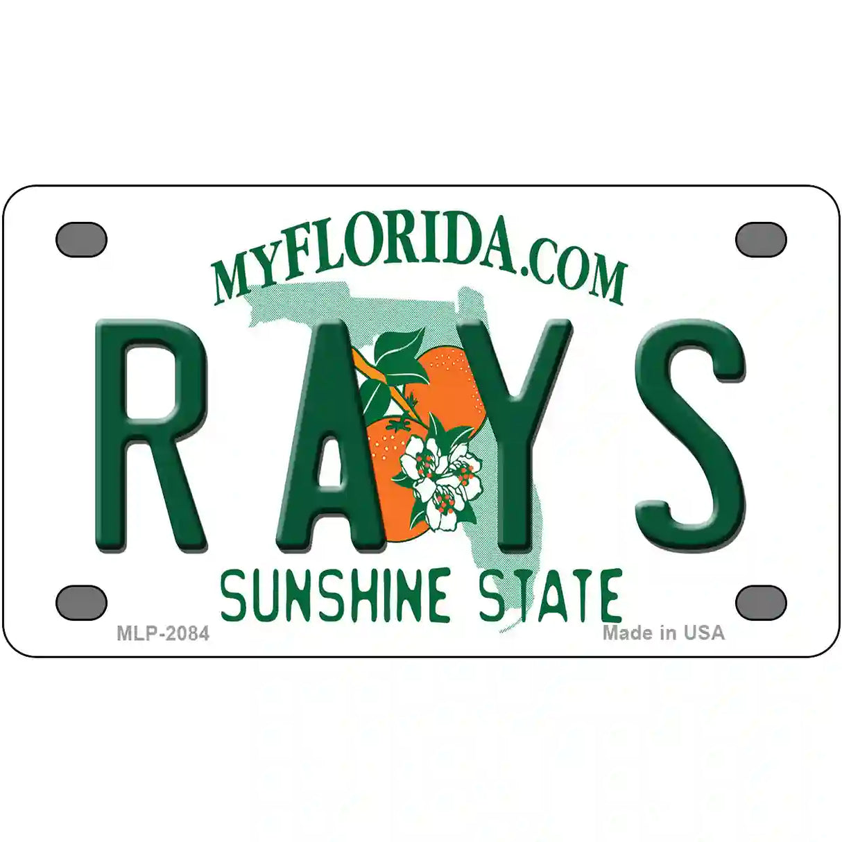 Rays Florida State Metal Novelty License Plate 4" x 2.2" (MLP)