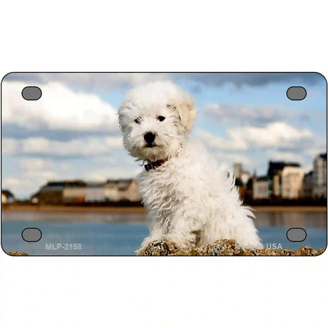 Bichon Frise Dog Metal Novelty License Plate 4" x 2.2" (MLP)