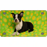 Boston Terrier Dog Metal Novelty License Plate 4" x 2.2" (MLP)