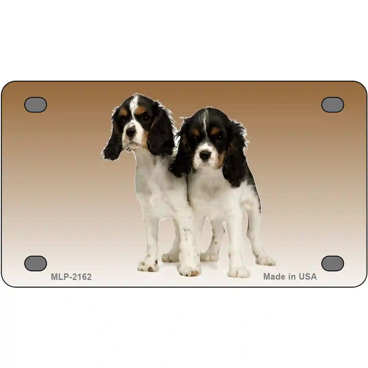 Cavalier King Charles Spaniel Dog Metal Novelty License Plate 4" x 2.2" (MLP)