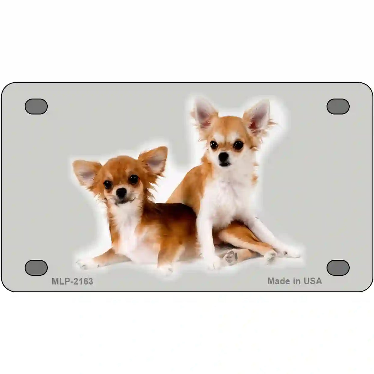 Chihuahua Dog Metal Novelty License Plate 4" x 2.2" (MLP)