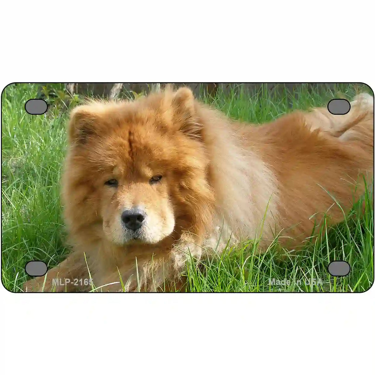 Chow Chow Dog Metal Novelty License Plate 4" x 2.2" (MLP)