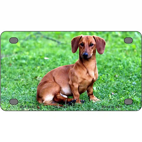 Dachshund Dog Metal Novelty License Plate 4" x 2.2" (MLP)